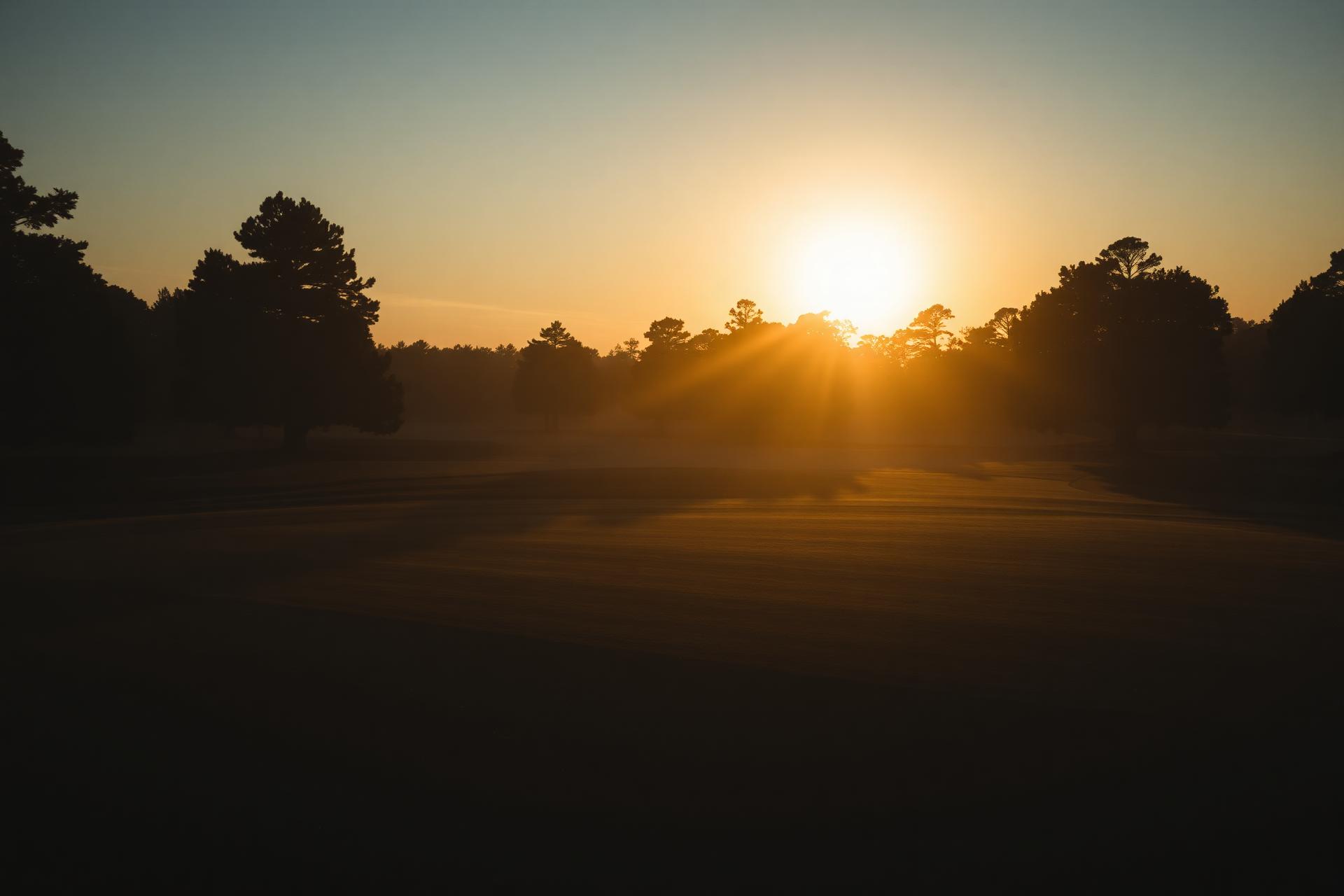 Golf course at golden hour